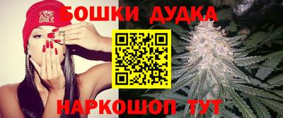 шишки Малгобек